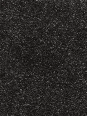 Hit Sezóny Kobercová krytina 4M Gerbera 98